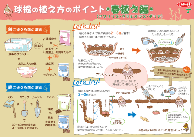 PDF表示イメージ