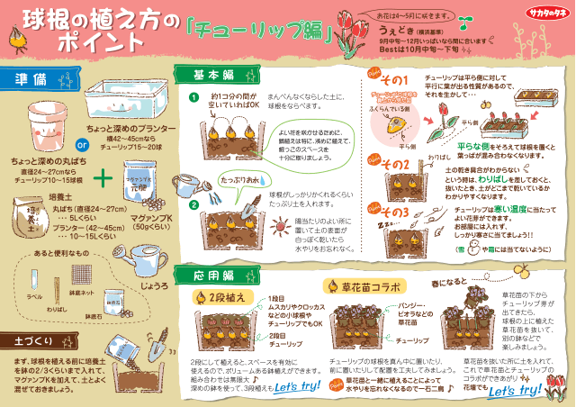 PDF表示イメージ