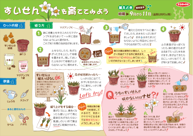 PDF表示イメージ