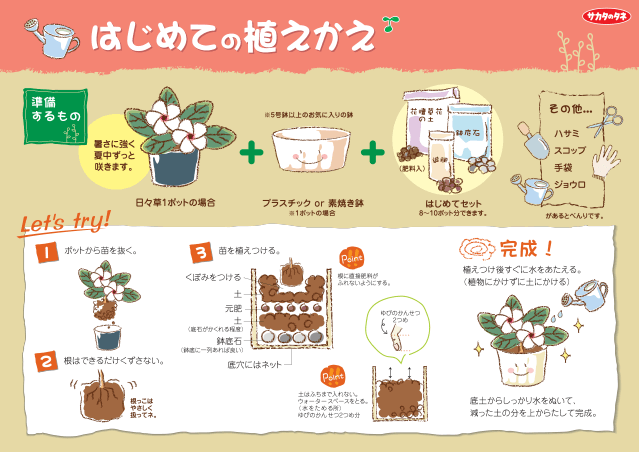 PDF表示イメージ