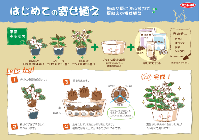 PDF表示イメージ