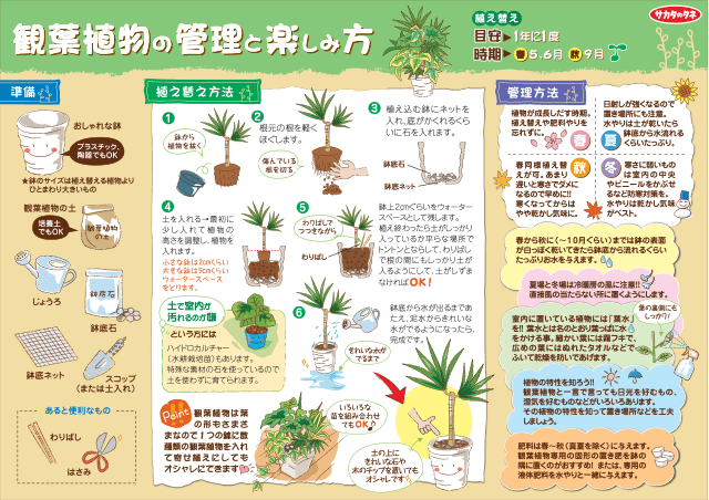 PDF表示イメージ