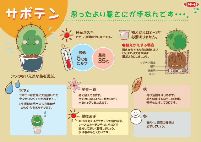 PDF表示イメージ