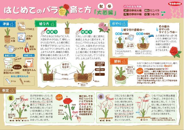 PDF表示イメージ