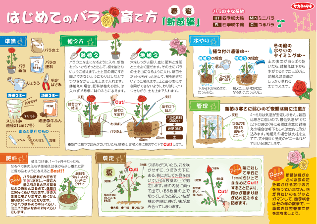 PDF表示イメージ