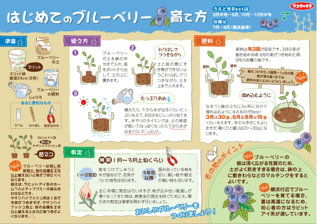 PDF表示イメージ