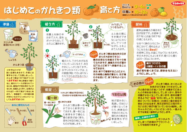 PDF表示イメージ