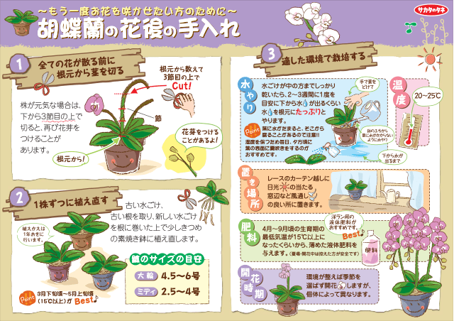 PDF表示イメージ