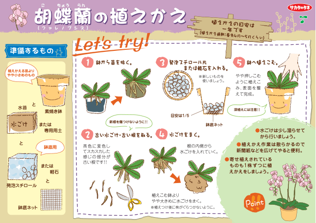 PDF表示イメージ