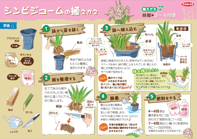 PDF表示イメージ