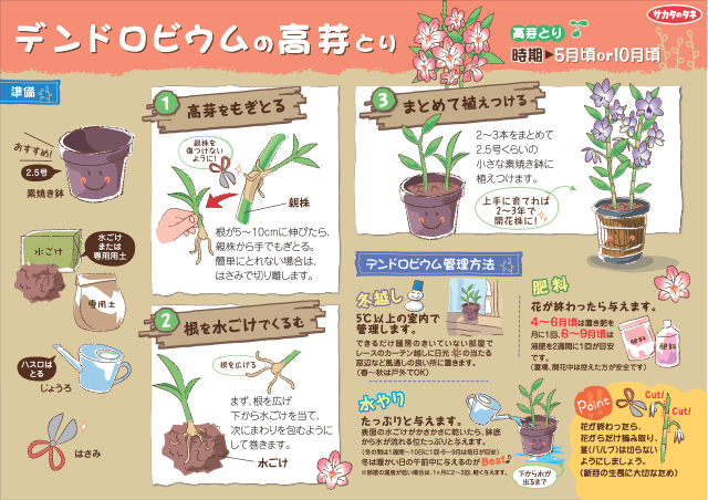 PDF表示イメージ