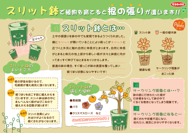 PDF表示イメージ