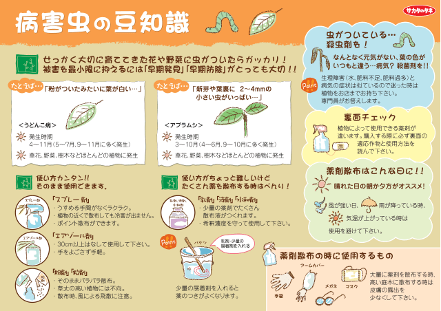 PDF表示イメージ