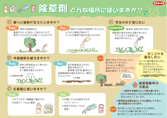 PDF表示イメージ
