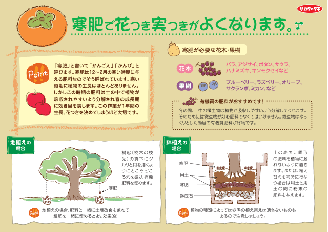 PDF表示イメージ