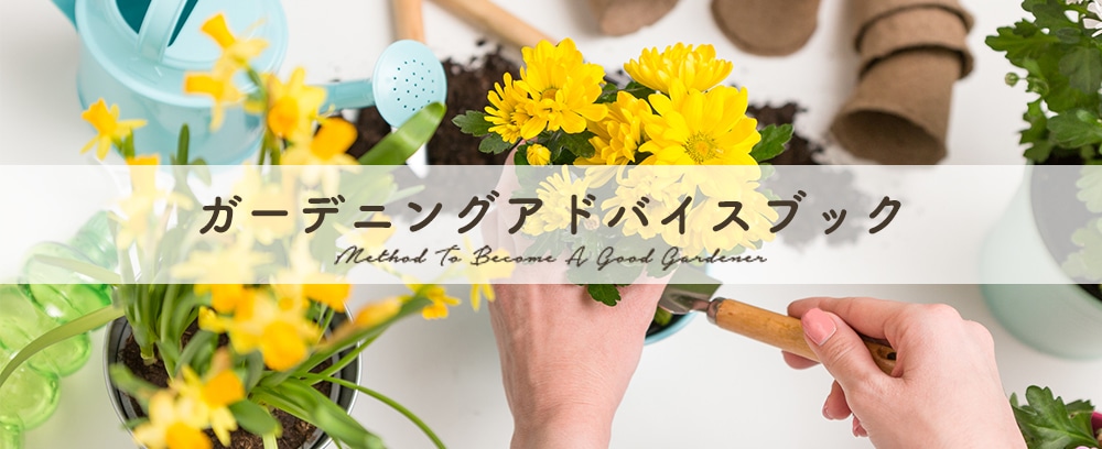 はじめてでも安心！ガーデニングアドバイスブック