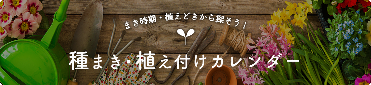 まき時期から探そう!種まきカレンダー