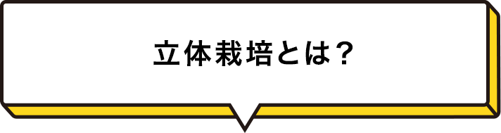 立体栽培とは?
