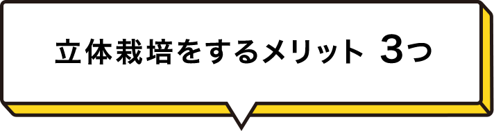立体栽培をするメリット ３つ