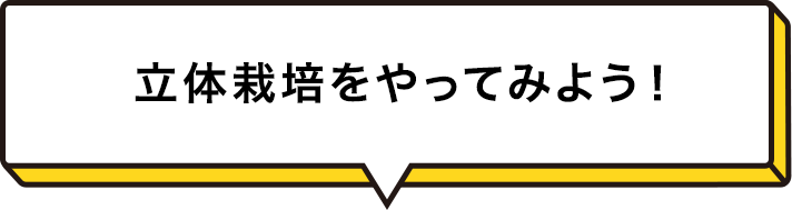 立体栽培をやってみよう！