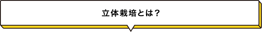 立体栽培とは？