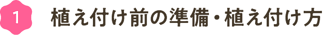 ①植え付け前の準備・植え付け方