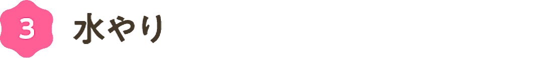 ③水やり
