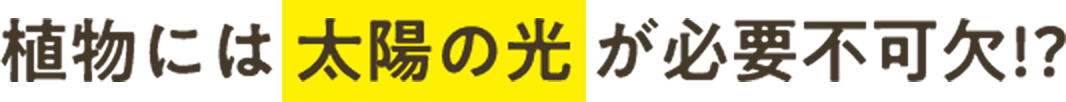 植物には 太陽の光 が必要不可欠!?