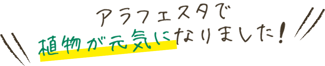 アラフェスタで植物が元気になりました!