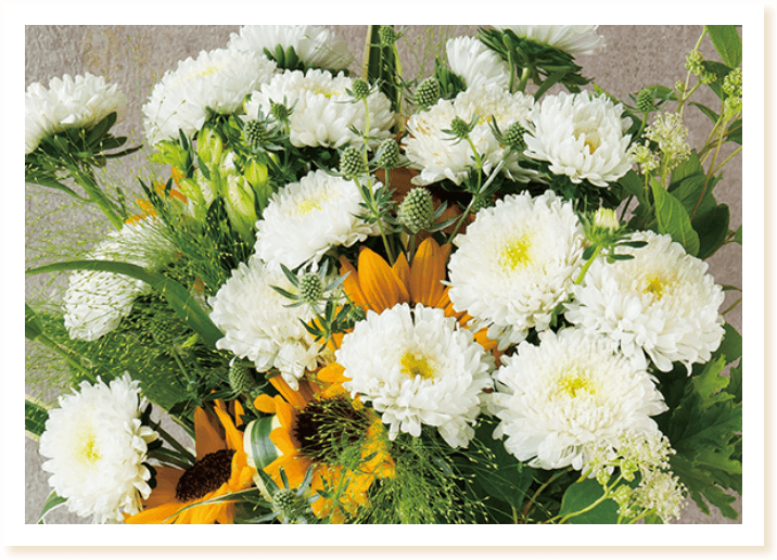 アスターあずみXLのアレンジメント写真