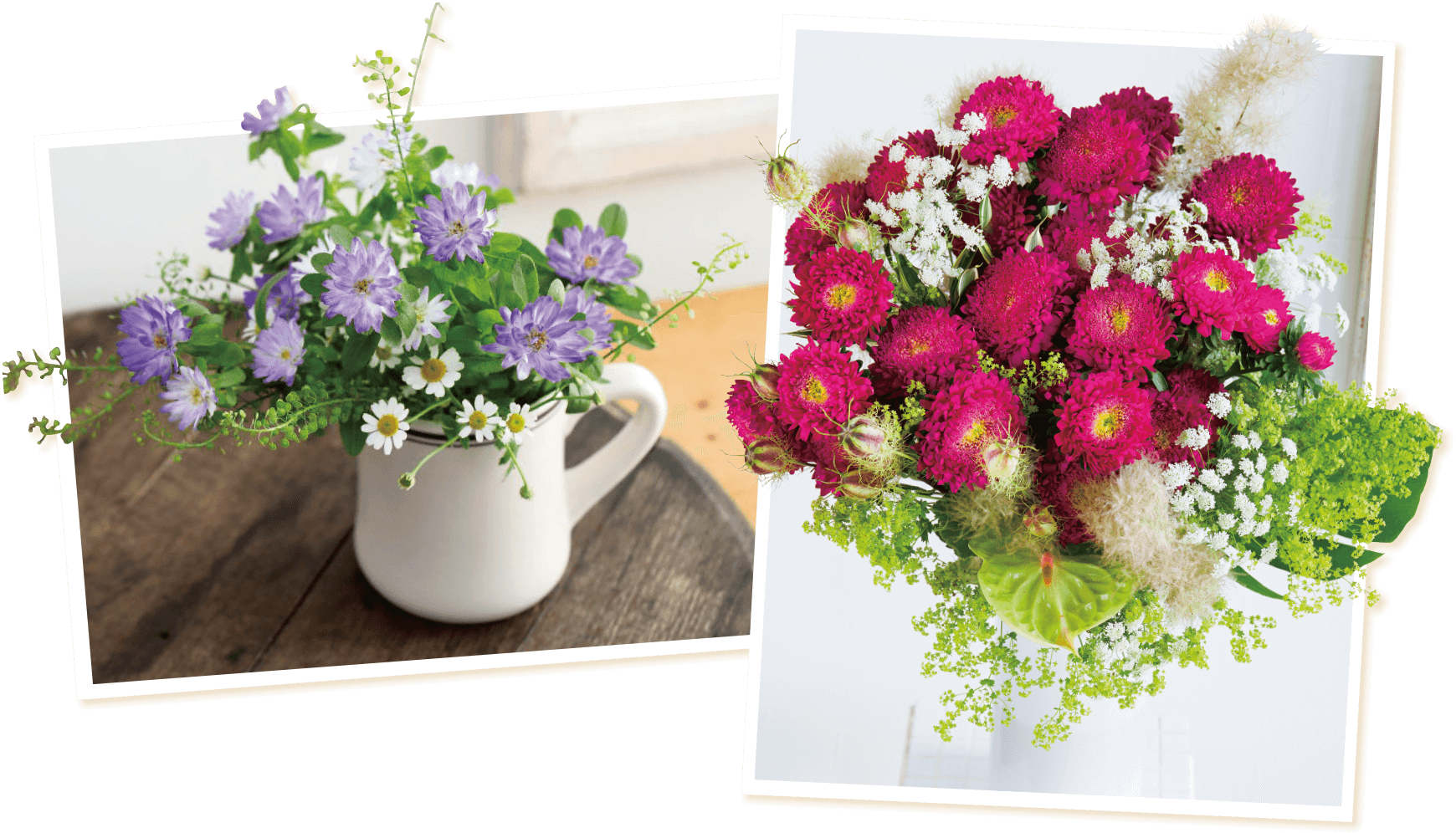 アスター「ステラ トップブルー」「あずみXL ローズ」のアレンジメント写真