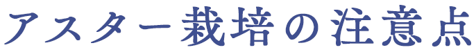 アスター栽培の注意点