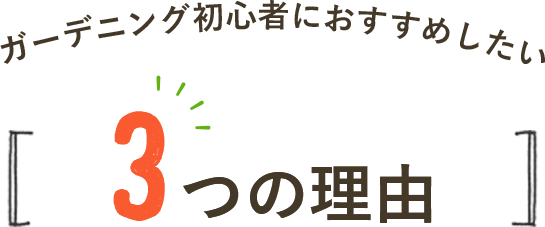 ガーデニング初心者におすすめしたい 3つの理由