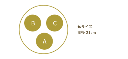 鉢サイズ 直径21cm