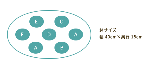 鉢サイズ 幅40cm 奥行18cm
