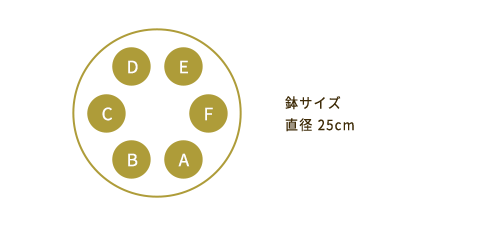 鉢サイズ 直径25cm