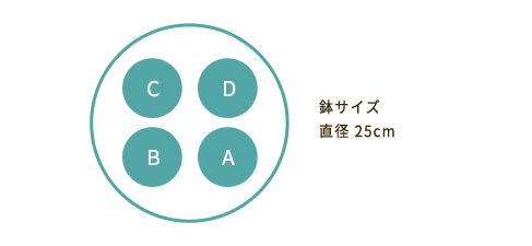 鉢サイズ 直径25cm