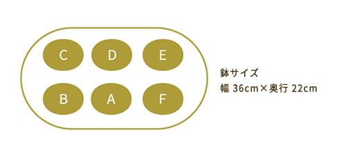 鉢サイズ 幅36cm 奥行22cm