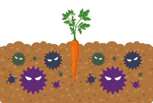 連作した土は悪玉菌がいっぱい