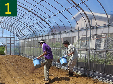 1.「バイテクバイオエース」、肥料、堆肥、石灰を投入します。