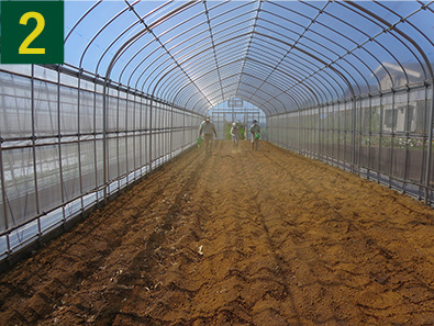 2.土を握って固まるくらい水をまきます。※土壌が水分を含んでいると、熱をしっかり伝導するため、太陽熱消毒の効果が高まります。