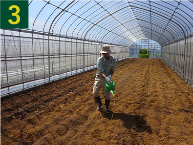 3.お湯で溶かした「砂糖」を加えた「ネイチャーエイド 有機の液肥」をジョウロなどでまきます。※有効菌のエサとなります。