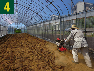 4.耕運機やクワなどで耕します。※畝を立てる場合はこのタイミングで畝立てを行います。