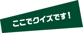 ここでクイズです