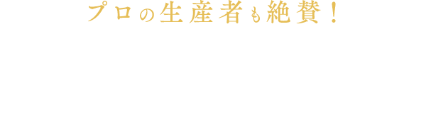プロの生産者も絶賛！栗カボチャ「ブラックのジョー」の魅力