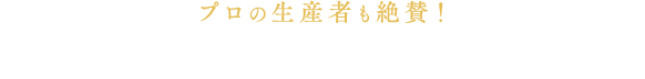 プロの生産者も絶賛！栗カボチャ「ブラックのジョー」の魅力