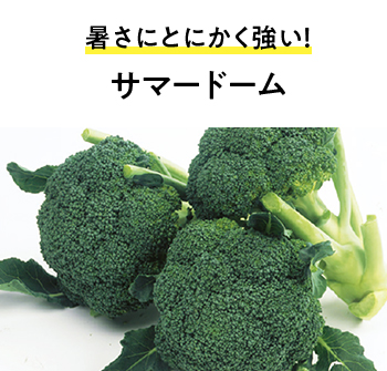 暑さにとにかく強い! サマードーム