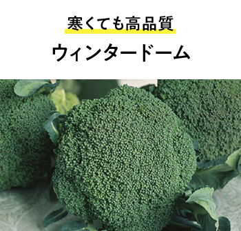 寒くても高品質 ウィンタードーム