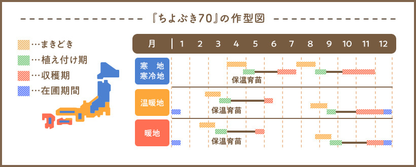 『ちよぶき70』の作型図