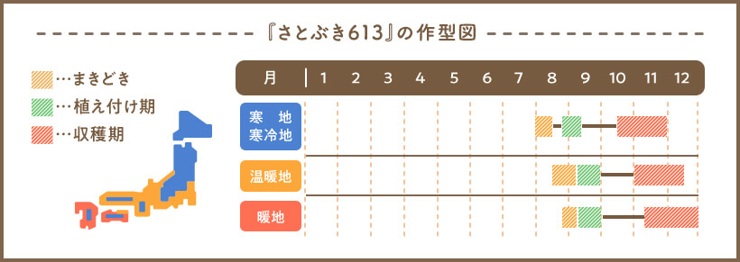 『さとぶき613』の作型図